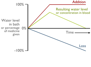 Representional graph depicting water levels in a bath and medicine in the blood
